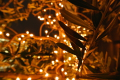 イルミネーション〜ぼかし〜