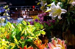 中洲の花屋で