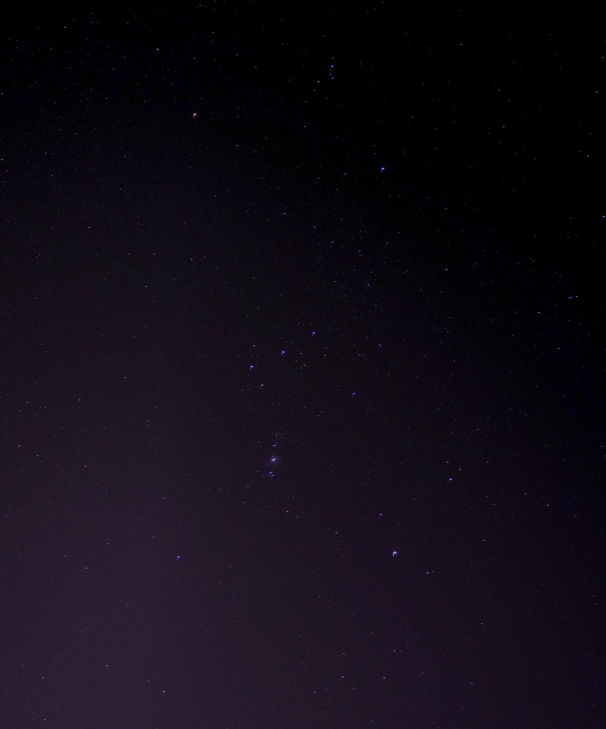 Orion