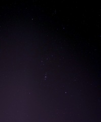 Orion