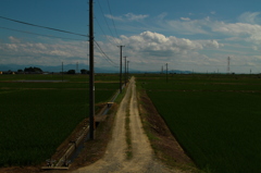 道