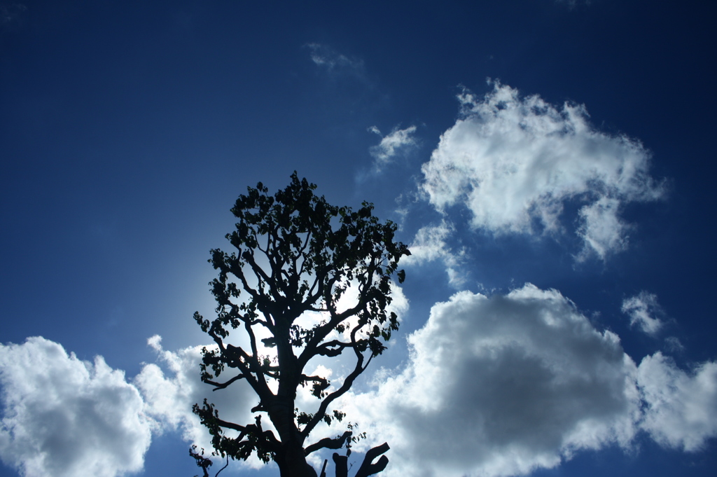 ヌケル空