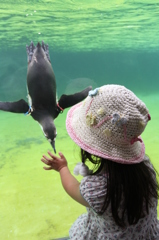 ペンギン～