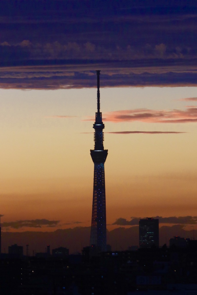 シルエット