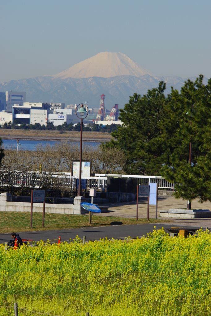 こっちは春です