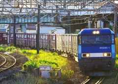 トップナンバー トップナンバー