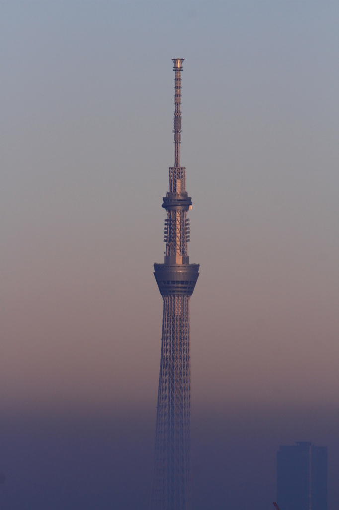 霞