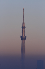 霞