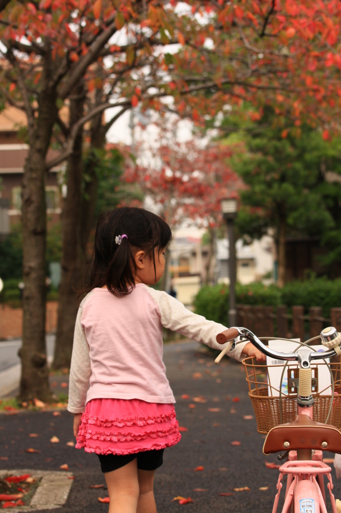 乗らない自転車