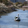 春はお別れの季節デス