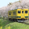 春満開列車