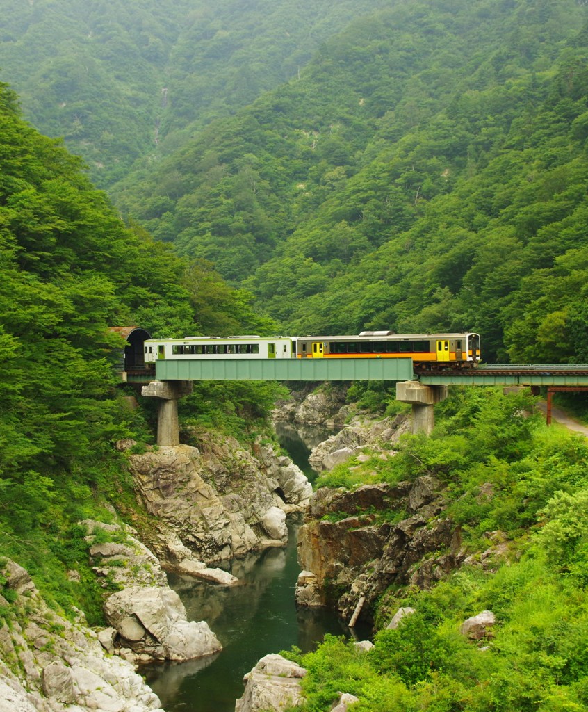 美しい通学路