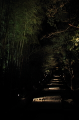 高台寺へ