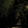 高台寺へ