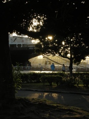 早朝の公園