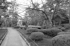 金沢兼六園にて