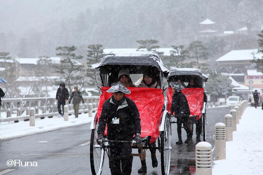 冬の京案内