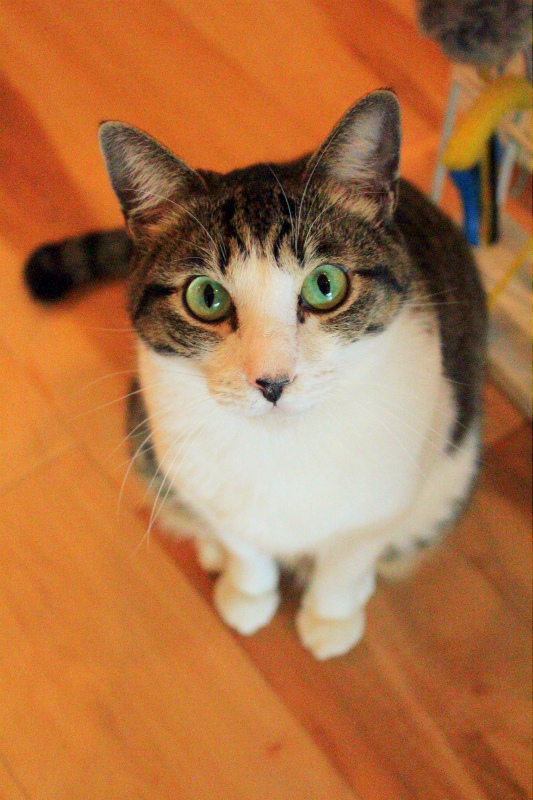 あそんで？