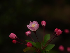 P3314833