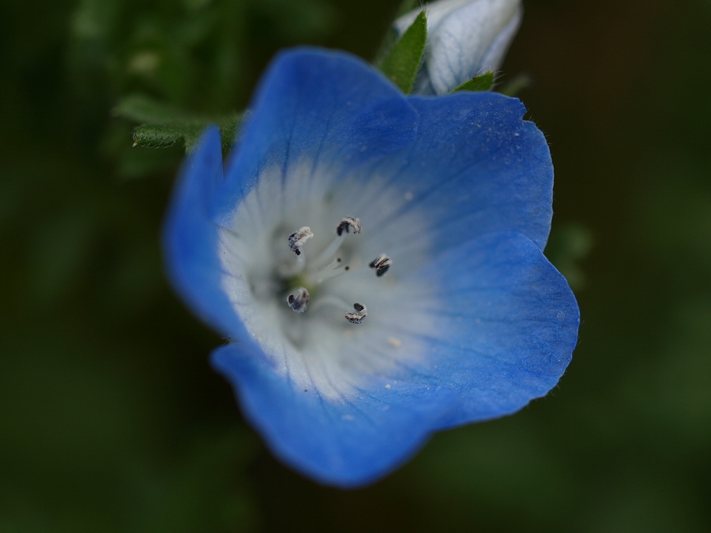 P3314827