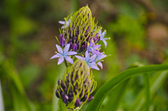 SDIM0358