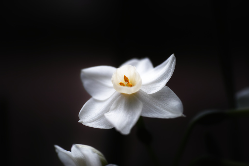 SDIM0054