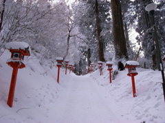 大雪の日に２