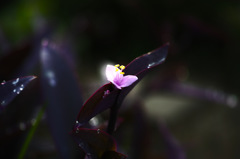 DP3M0573