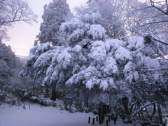 大雪の日に・・