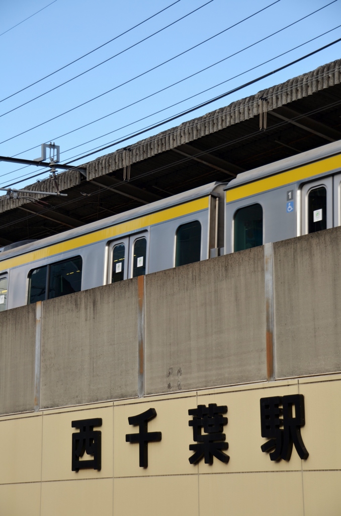 黄色いベルト