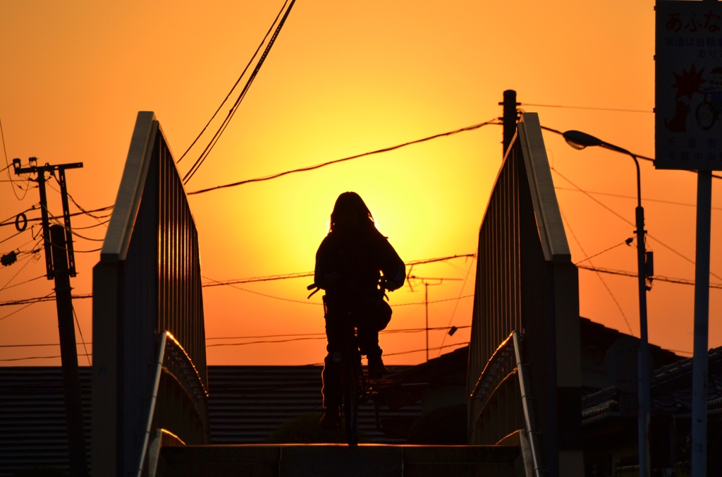 夕日に向かって