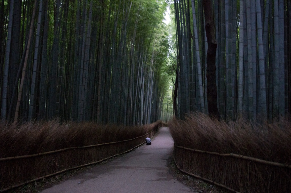 秋の嵐山