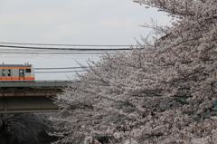 万亀橋からJR