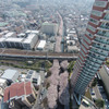 神田川　大東橋上空80ｍ