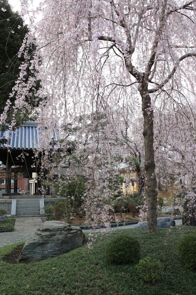 圓照寺