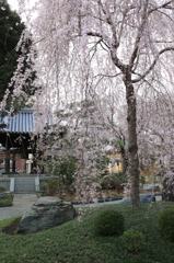 圓照寺