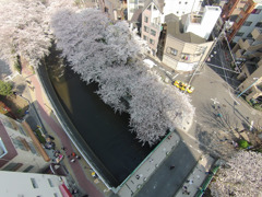 神田川　大東橋上空2