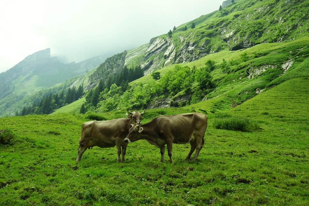 Switzerland 2