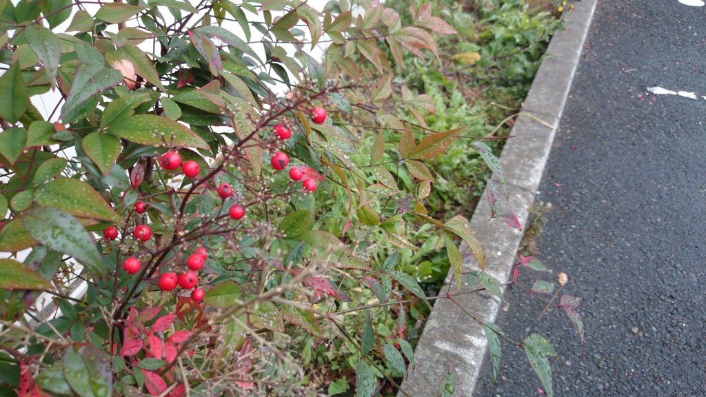 雨宿り