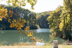 公園散策