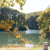 公園散策