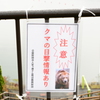 でるらしい