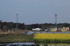 早春の雨上がり