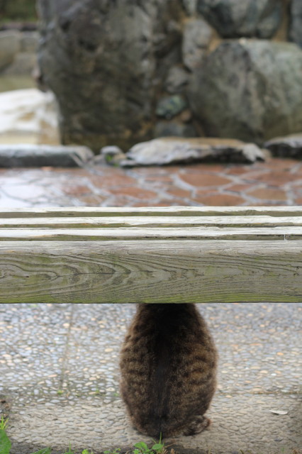 雨宿り