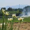 春から初夏へ