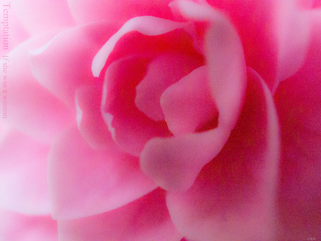 誘惑