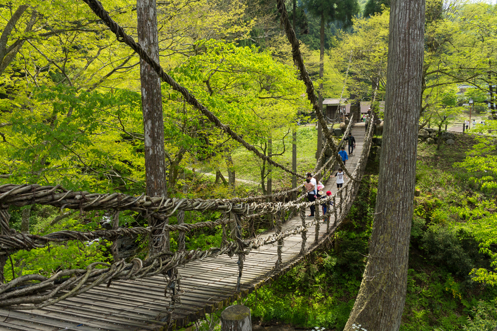 かずら橋