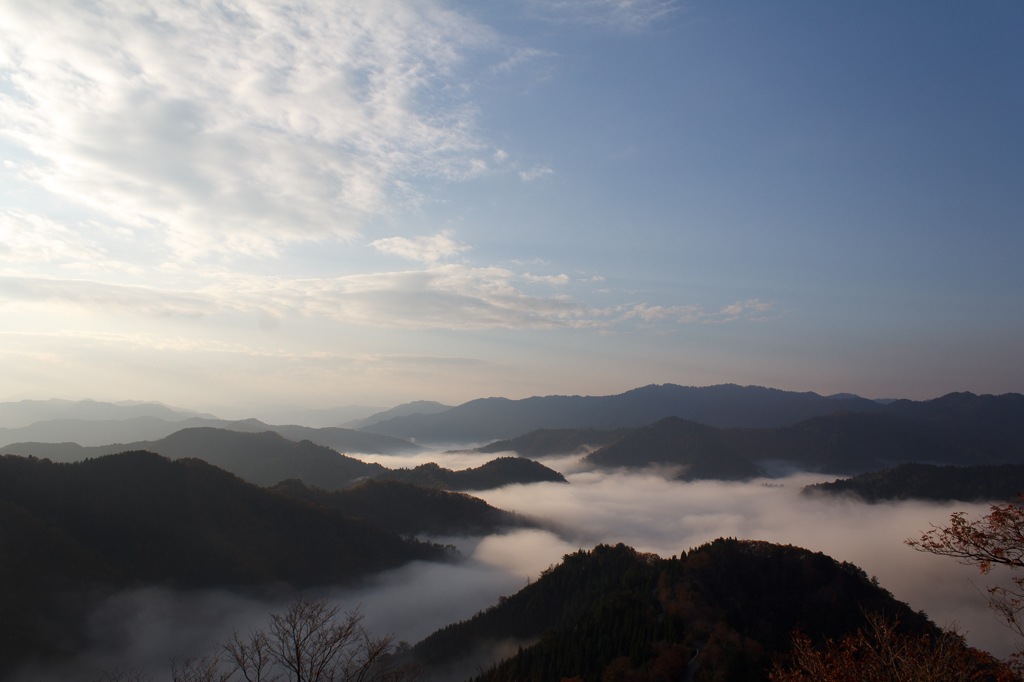 小入谷の雲海