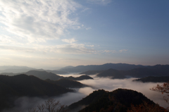 小入谷の雲海