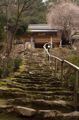 馬居寺